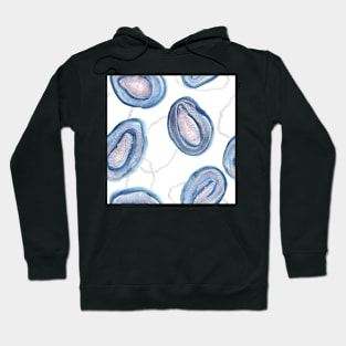 Silver blue geodes / agate slices Hoodie